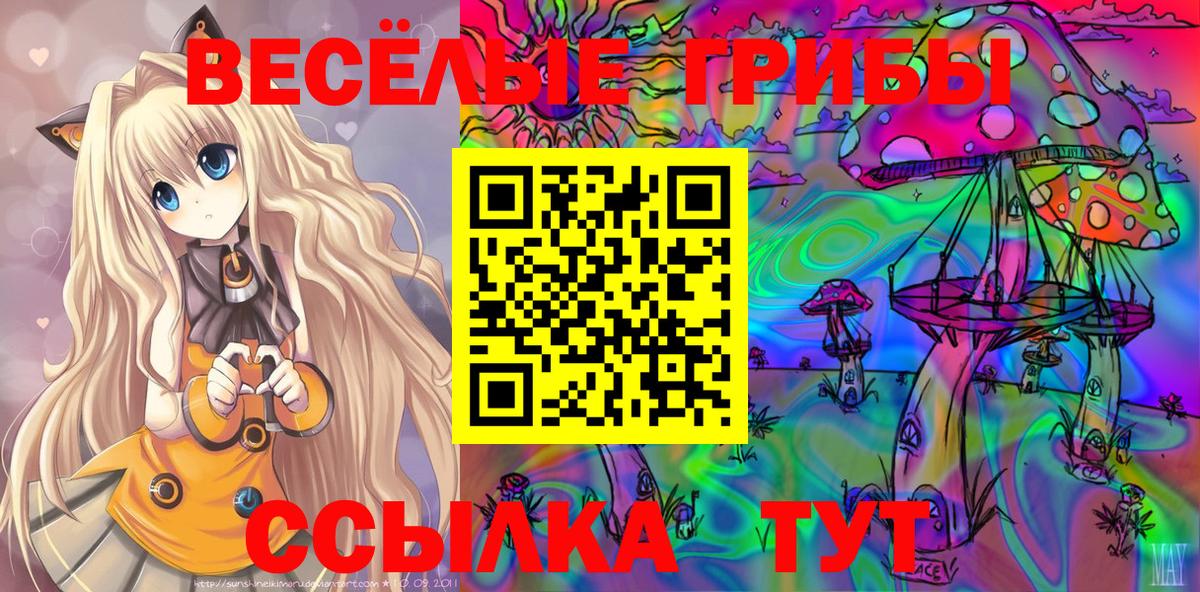 Псилоцибиновые грибы прущие грибы Долгопрудный